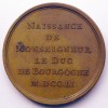 Louis XV naissance du duc de Bourgogne 1751