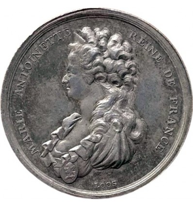 Révolution, mort de Marie-Antoinette par Loos 1793