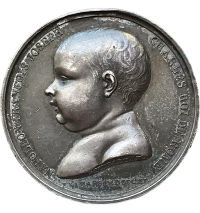 Premier Empire, naissance du Roi de Rome par Andrieu 1811
