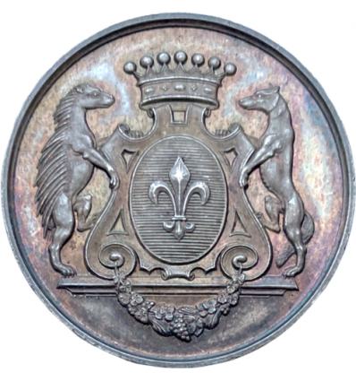 Lot de19 jetons et médailles argent div