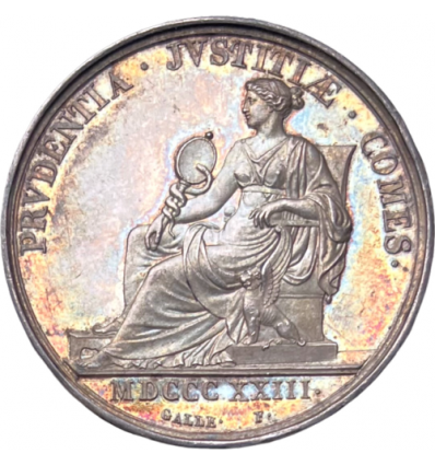 Jeton chambre de justice de Lyon 1823