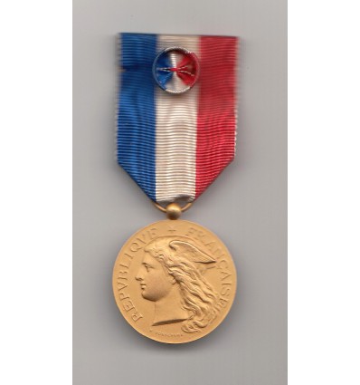 Ministère de l'Intérieur, médaille d'or, épidémies 1912