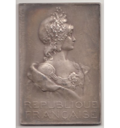 République Française, buste de Marianne par Vernier 1902