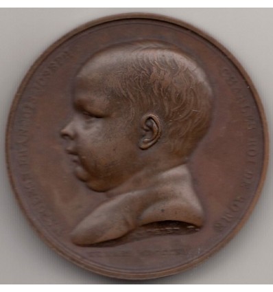 Napoléon I naissance du roi de Rome 1809