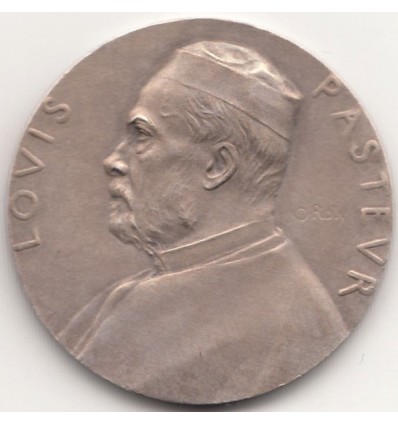 Louis Pasteur par Roty 1888