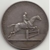 Hippisme société des courses de Lyon fondée en 1867