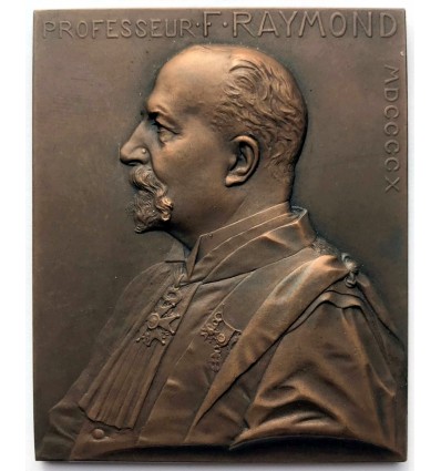 Médecine, hommage au professeur Fulgence Raymond par Prud'homme 1910